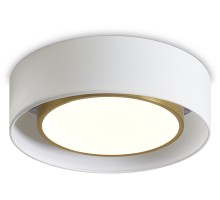 Потолочный светильник Cozy FR6170CL-L52BS Freya