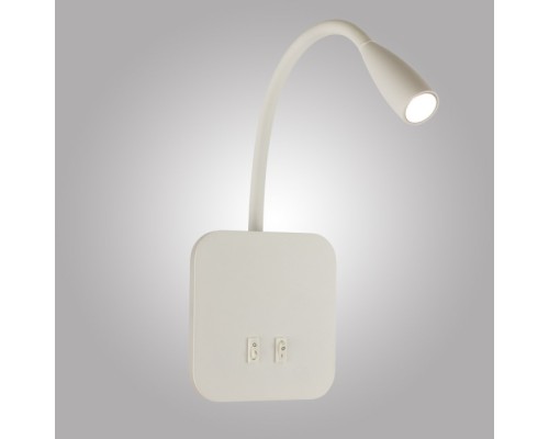 Спот  AM485 WH AM Group