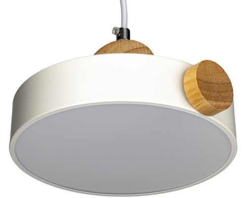 Подвесной светильник Scandia 52077 1 Ritter