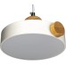 Подвесной светильник Scandia 52077 1 Ritter