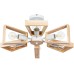 Потолочная люстра Brussels A8030PL-6WH Arte Lamp