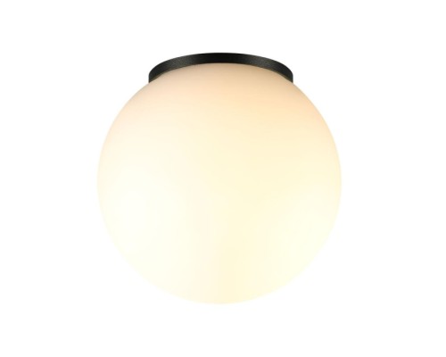 Потолочный светильник уличный Viva 7124/1C Odeon Light