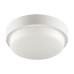 Настенно-потолочный светильник  LCL04-8W-R11-4K-SOA Wolta