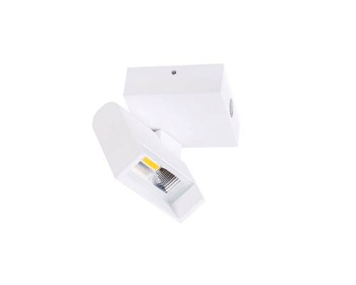 Настенно-потолочный светильник Dl18421 DL18421/11WW-White Donolux