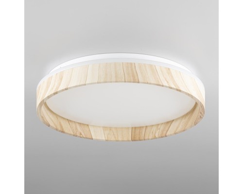 Потолочный светильник Enzo CL753352G Citilux