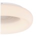 Потолочный светильник Rilla 41296-50R Globo
