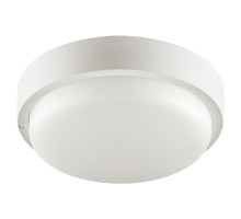 Настенно-потолочный светильник  LCL04-18W-R11-4K-SOA Wolta