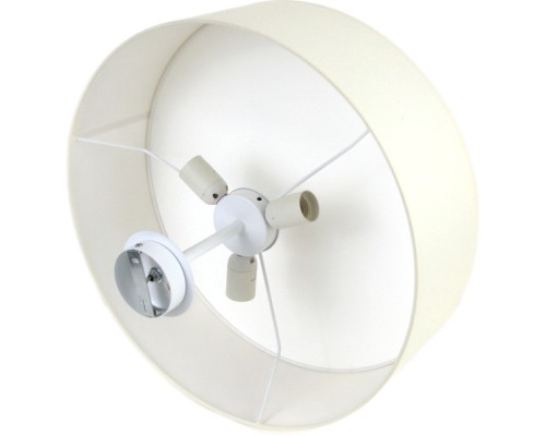 Потолочная люстра Viviana 50 LH022034 Lighthall