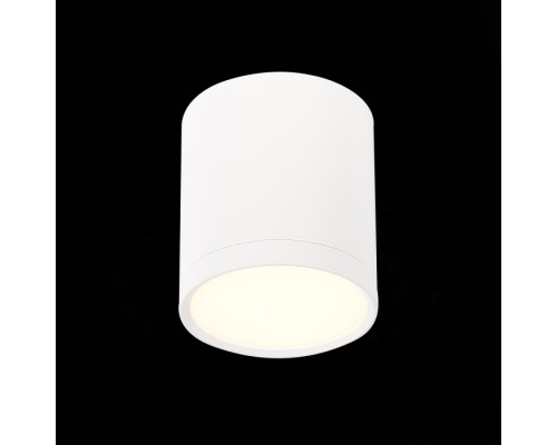Точечный светильник Rene ST113.532.05 ST Luce