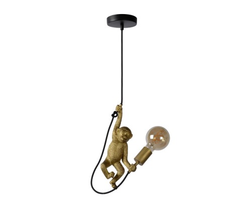 Подвесной светильник Extravaganza Chimp 10402/01/30 Lucide