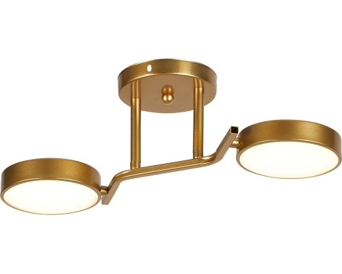 Потолочная люстра Starlight 10273/2LED Escada