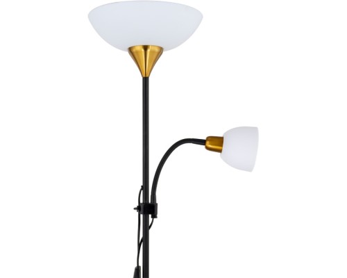 Торшер Duetto A9569PN-2BK Arte Lamp