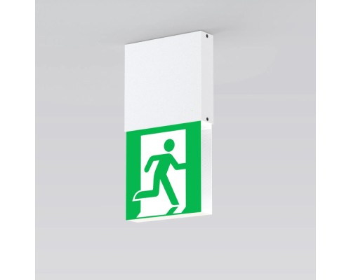 Аварийный светильник EMERGENCY 059804 Arlight