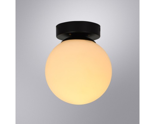 Настенно-потолочный светильник Alcor A2224PL-1BK Arte Lamp