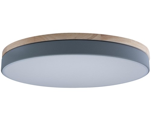 Потолочный светильник Axel 10001/36 Grey Loft It