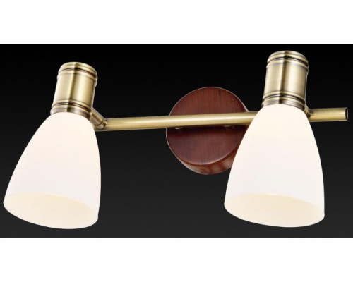 Спот Sharyl TL3720Y-02BB TopLight