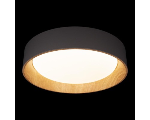 Потолочный светильник Coin 10202 Grey Loft It