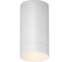 Потолочный светильник уличный Luxe O500CL-L5W3K Maytoni