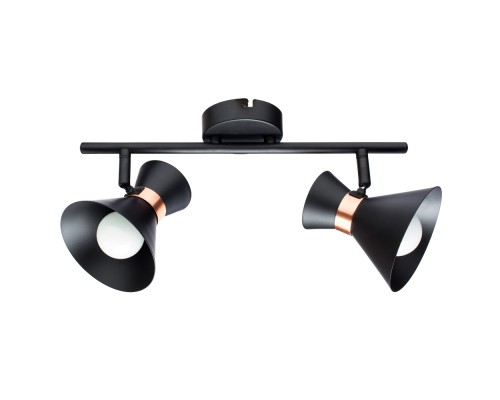 Спот Baltimore A1406AP-2BK Arte Lamp
