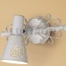 Спот Дункан CL529512 Citilux