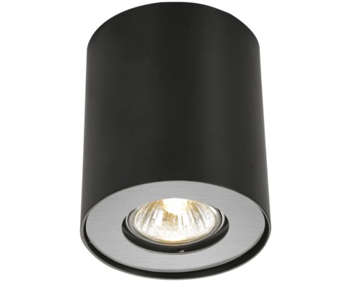Потолочный светильник Falcon A5633PL-1BK Arte Lamp