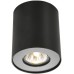 Потолочный светильник Falcon A5633PL-1BK Arte Lamp