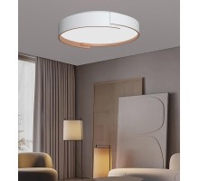 Потолочный светильник  F0724-31 Alfa Light