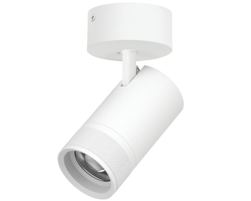 Спот Canno Pro C4406SO Lightstar