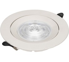 Точечный светильник Raiz ZRS.57795.10 Zortes