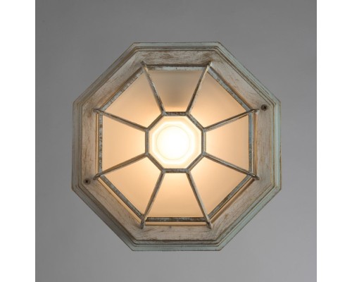Потолочный светильник уличный Pegasus A3121PF-1WG Arte Lamp