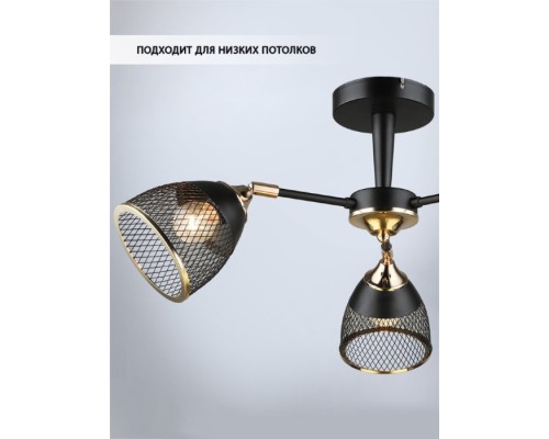 Потолочная люстра Aniko WD3637/3C-BK-FGD-BK Wedo Light