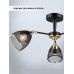 Потолочная люстра Aniko WD3637/3C-BK-FGD-BK Wedo Light