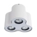 Потолочный светильник Falcon A5633PL-3WH Arte Lamp