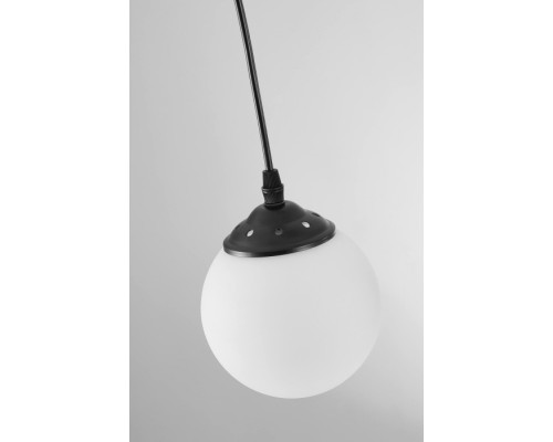 Подвесной светильник Fino TP 2002-1 BK Lampit