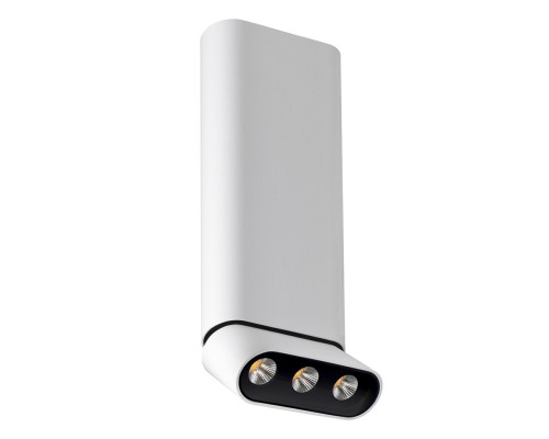 Спот Фергус 8005/3CL-WT-BK Lumien Hall