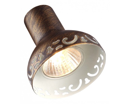 Спот Focus A5219PL-3BR Arte Lamp