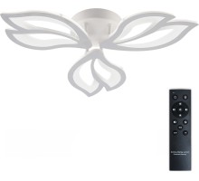 Потолочная люстра Fortuna LED LAMPS 81107/2C Natali Kovaltseva