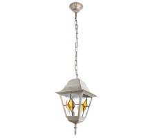 Уличный светильник подвесной Berlin A1015SO-1WG Arte Lamp