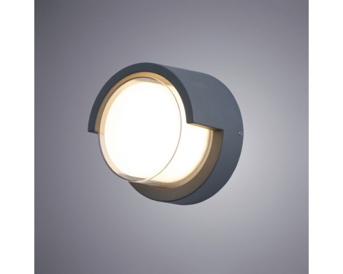 Настенный светильник уличный Lancia A8159AL-1GY Arte Lamp