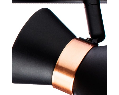 Спот Baltimore A1406PL-3BK Arte Lamp