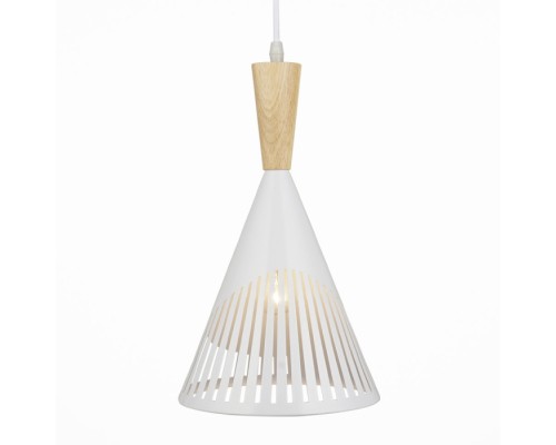 Подвесной светильник Parma 66574.01.09.01 Wedo Light