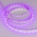 Светодиодная лента RT открытая 013571(2) Arlight