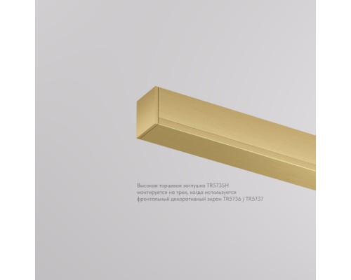Заглушка SHINE BASE TR5735H-SB Denkirs