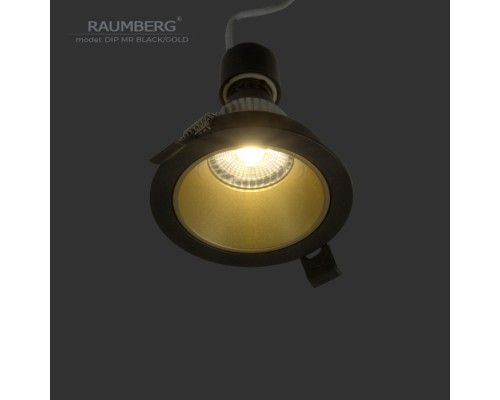 Точечный светильник  DipMRBk/Gd Raumberg
