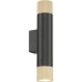 Настенный светильник Delta 2365-2 BK+BR iLedex