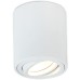 Точечный светильник Basis DL18613R1W Donolux