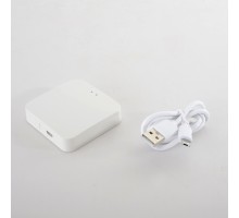 Модуль управления Space Smart Home CLT 0.203 12 Crystal Lux