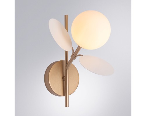 Бра Peacock A1369AP-1SG Arte Lamp