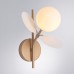 Бра Peacock A1369AP-1SG Arte Lamp