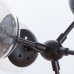 Потолочная люстра Bolla A1664SP-12BK Arte Lamp